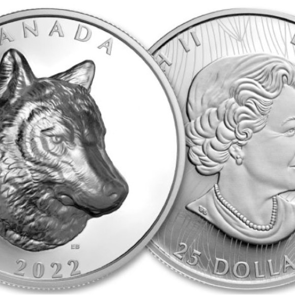 This piece is extremely collectible, 99.99% pure silver 36 millimetres & 31.62 g - Picture 7 of 10